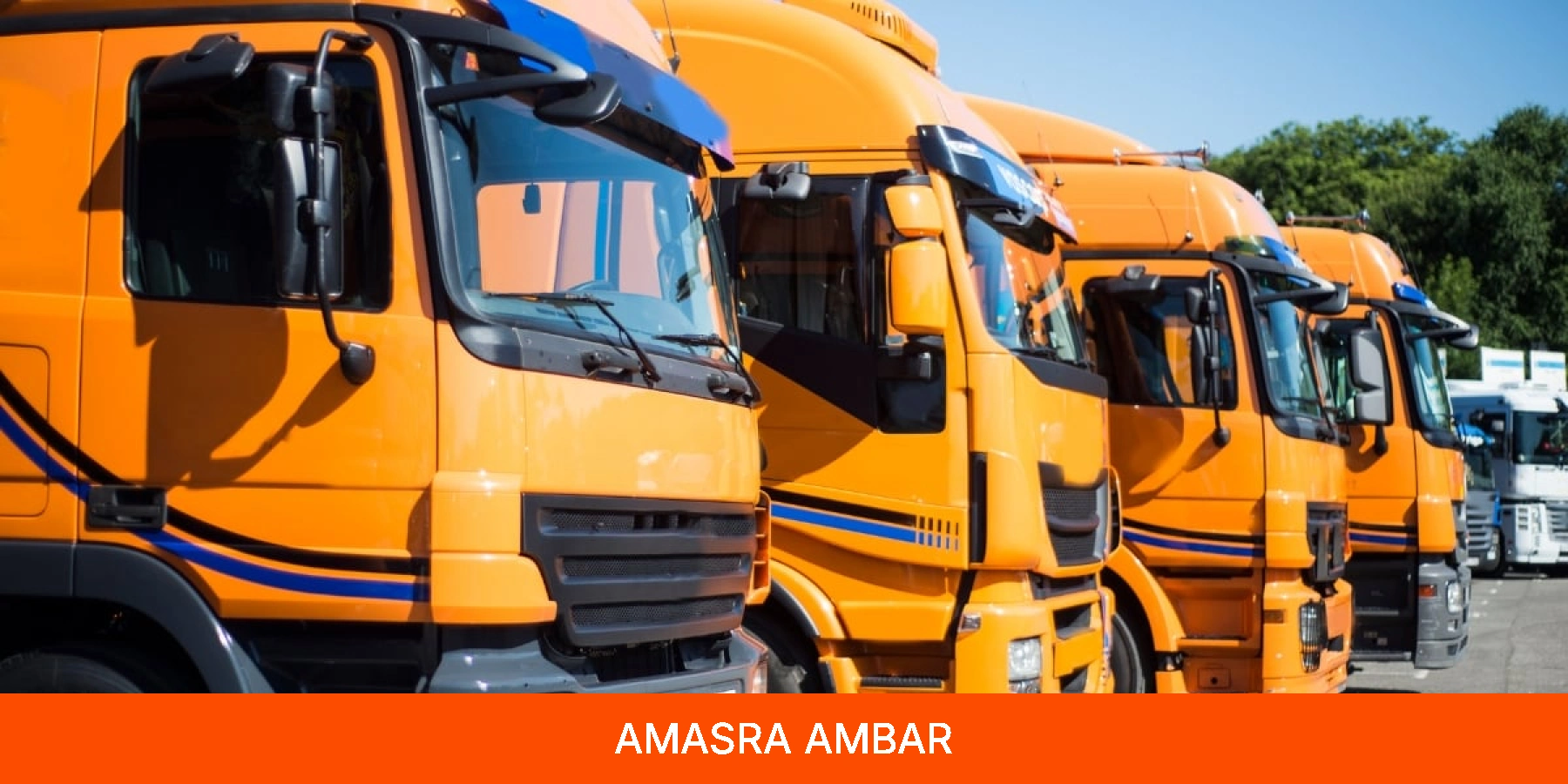 Amasra Ambar
