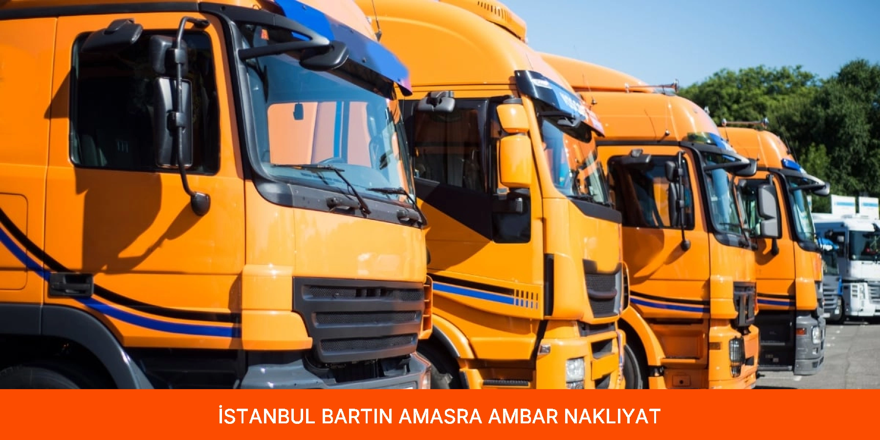 Amasra Ambar